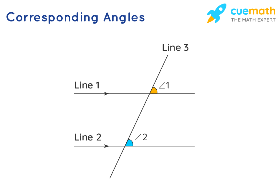 18 Types Of Angle Acute Obtuse Straight And Right Types Of All